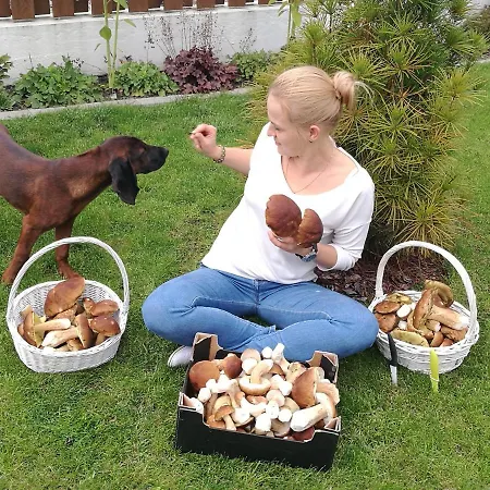 アパート Serce Puszczy *