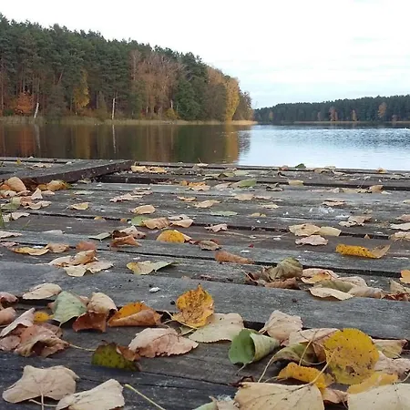 Serce Puszczy *