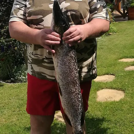 Apartmán Serce Puszczy *