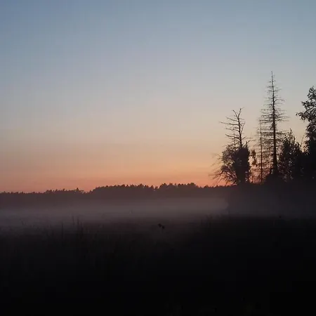 Serce Puszczy * Wiartel