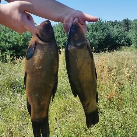 Apartmán Serce Puszczy Wiartel