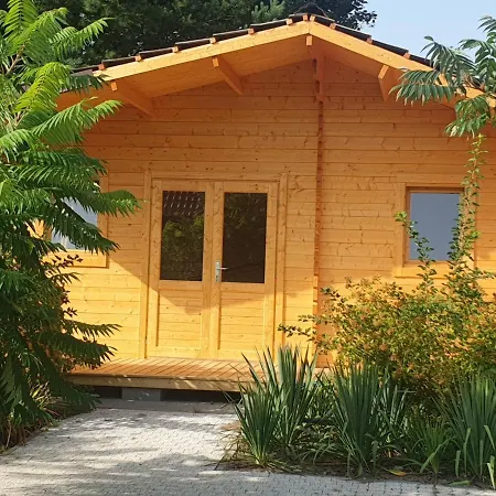 Serce Puszczy Apartament *